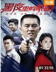 黑夜里的眼睛(全集)