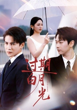 过期白月光(全集)
