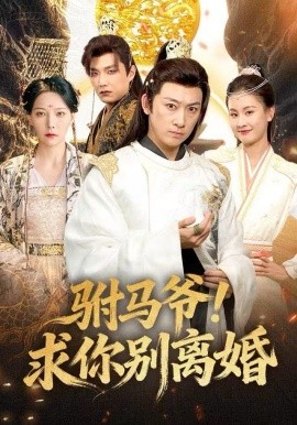 驸马爷！求你别离婚(全集)