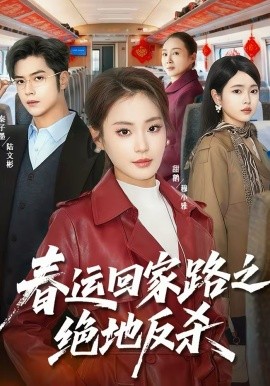 春运回家路之绝地反杀(全集)